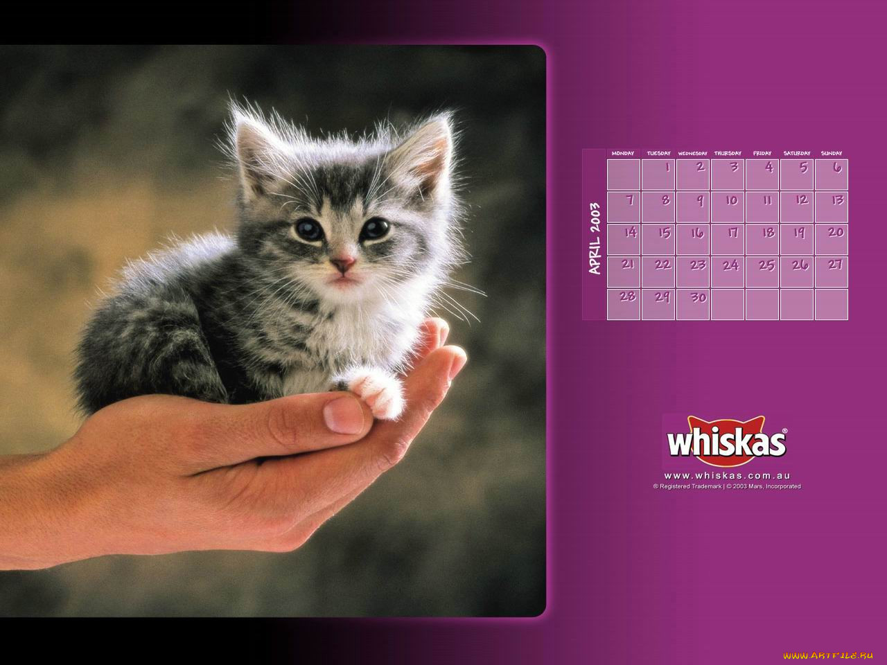 , whiskas